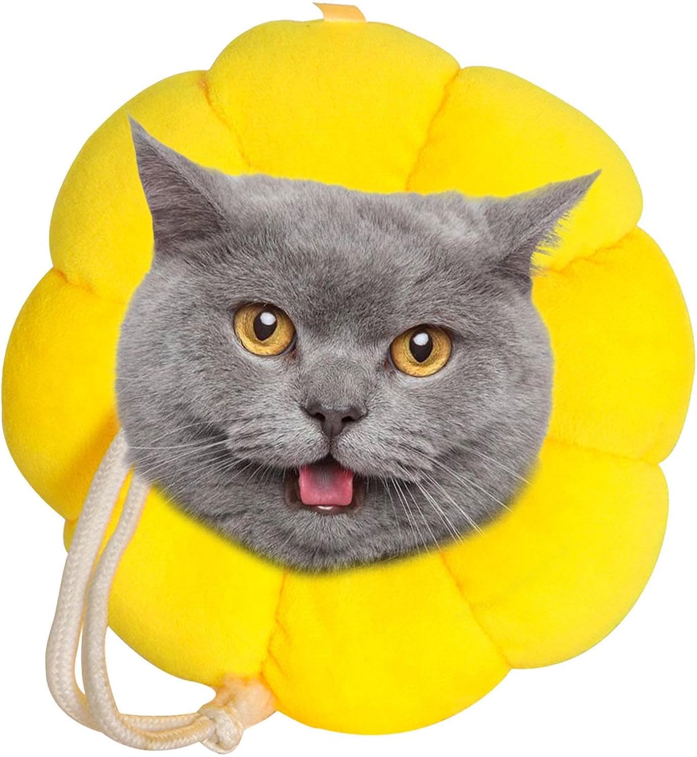 Collar isabelino de peluche con forma de girasol