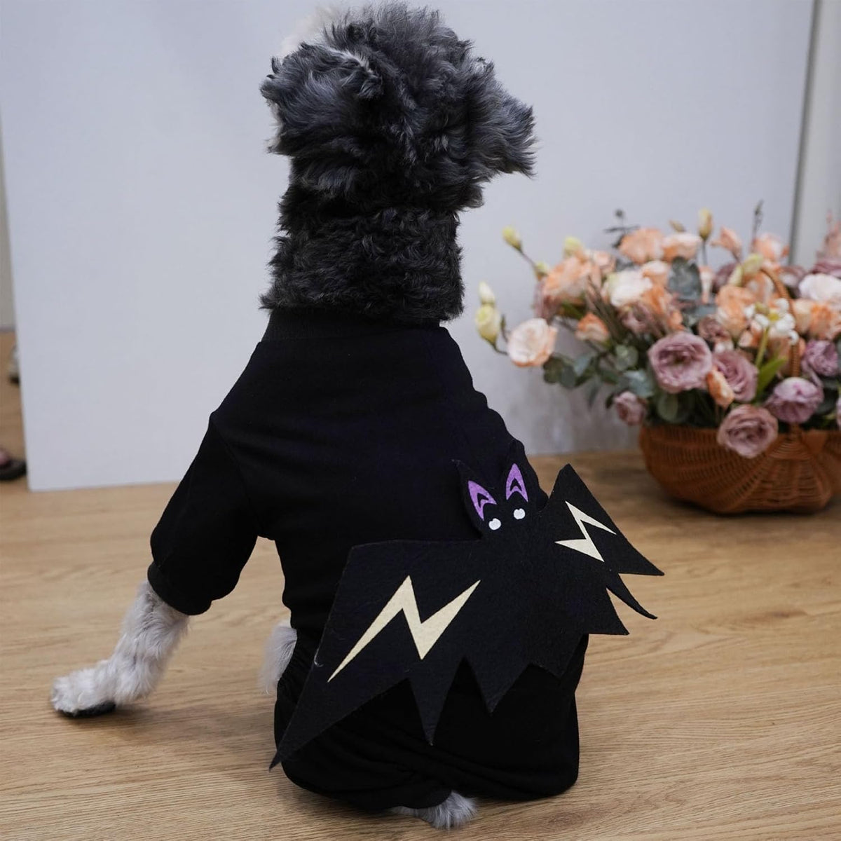 Disfraz de murciélago para mascotas