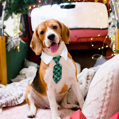 Corbata navideña de velcro para mascotas