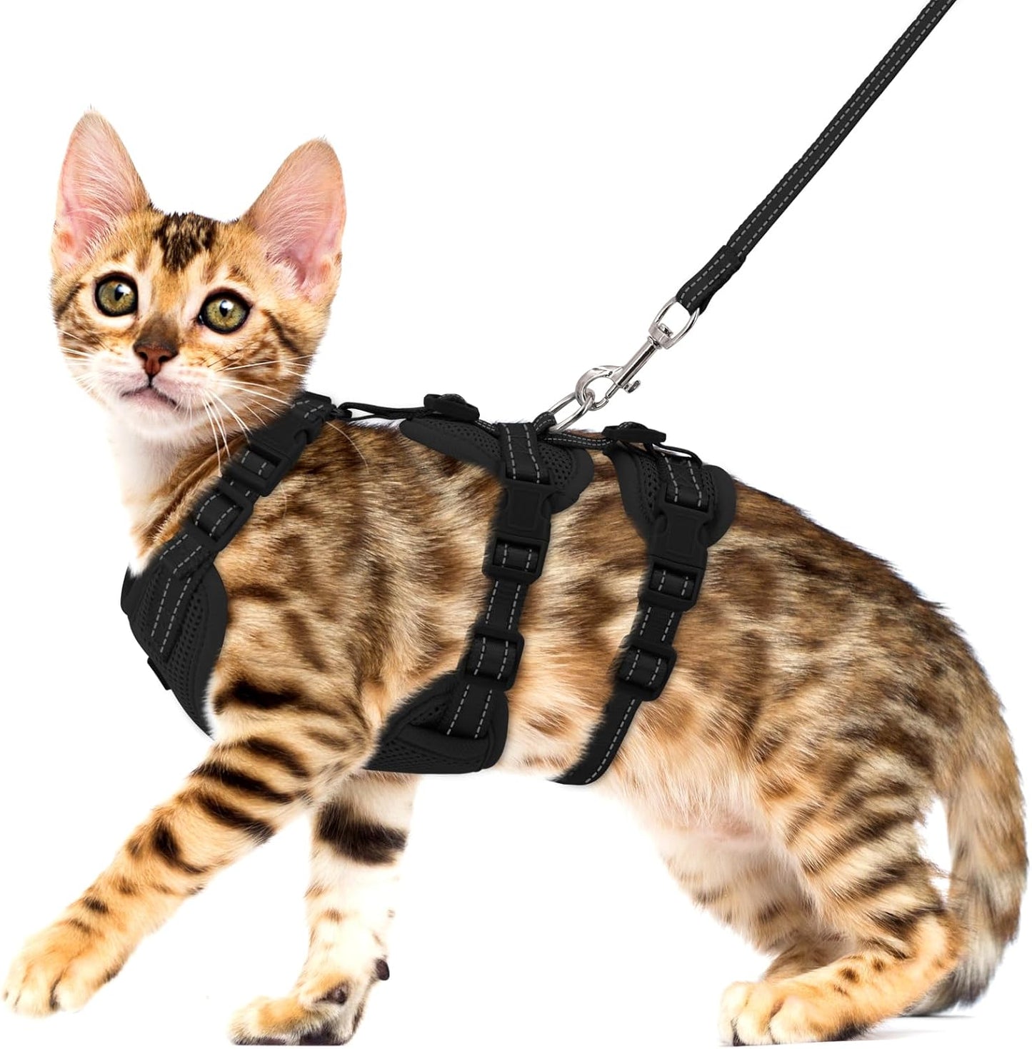 Pechera para gato sencilla HAR09