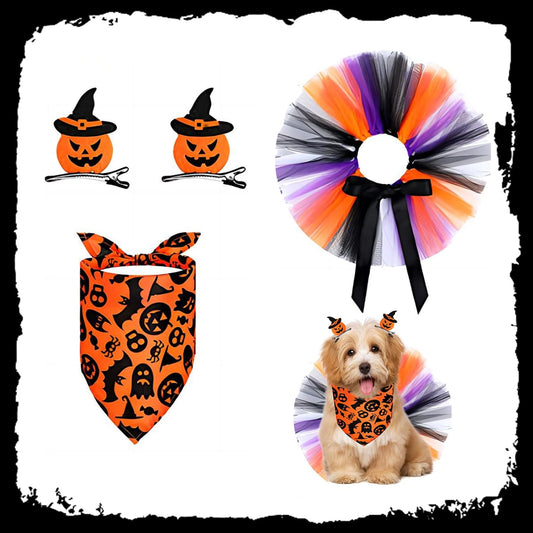 Conjunto de hembra para halloween