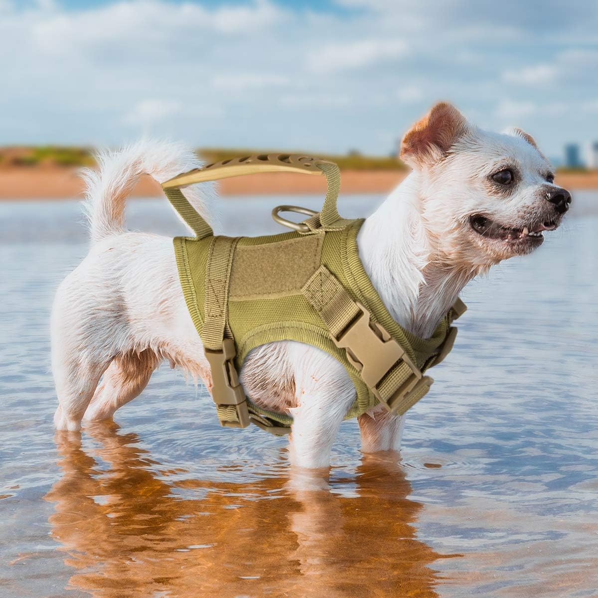 Pechera táctica para perros pequeños