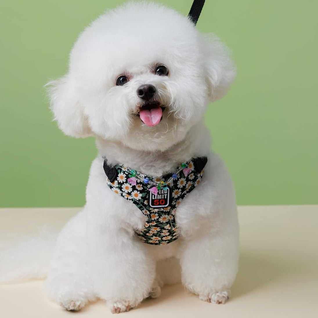 Arnés reflectante con diseño floral para perros raza pequeña