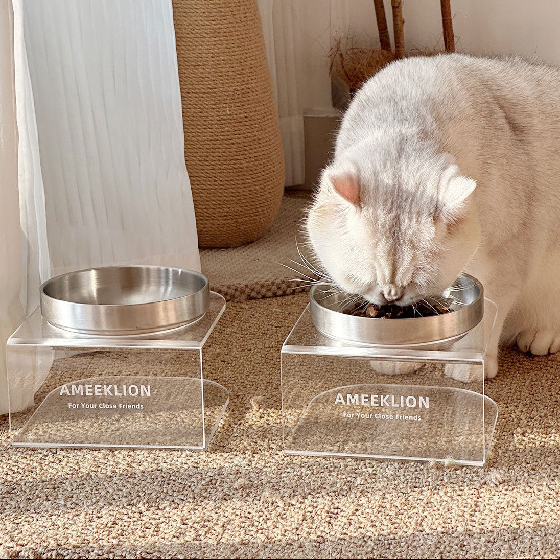 Plato elevado transparente con plato de acero inoxidable