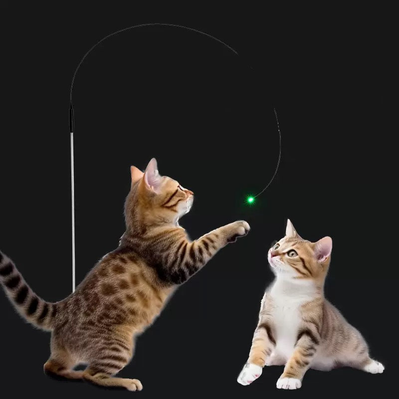 Cañita para gatos con luz led