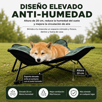 Cama elevada y portátil para perros pequeños y medianos