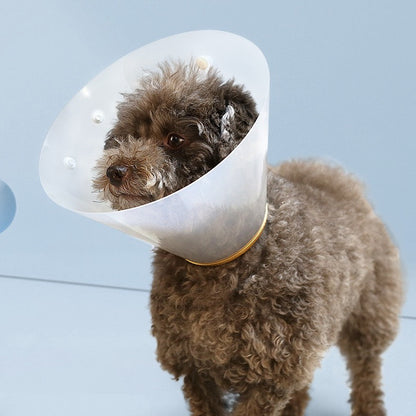 Cono isabelino de plástico para mascotas modelo #CL17