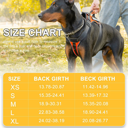 Pechera dog service con correa HAR03