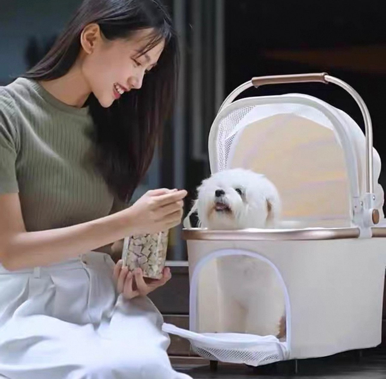 Coche para mascotas 311 blanco (Hasta 15kg)