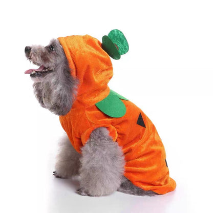 Disfraz de calabaza para mascotas modelo SDZ24