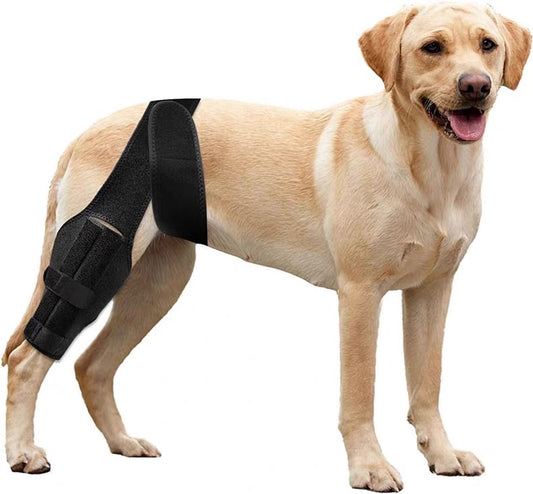 Soporte de patas para perros medianos y grandes
