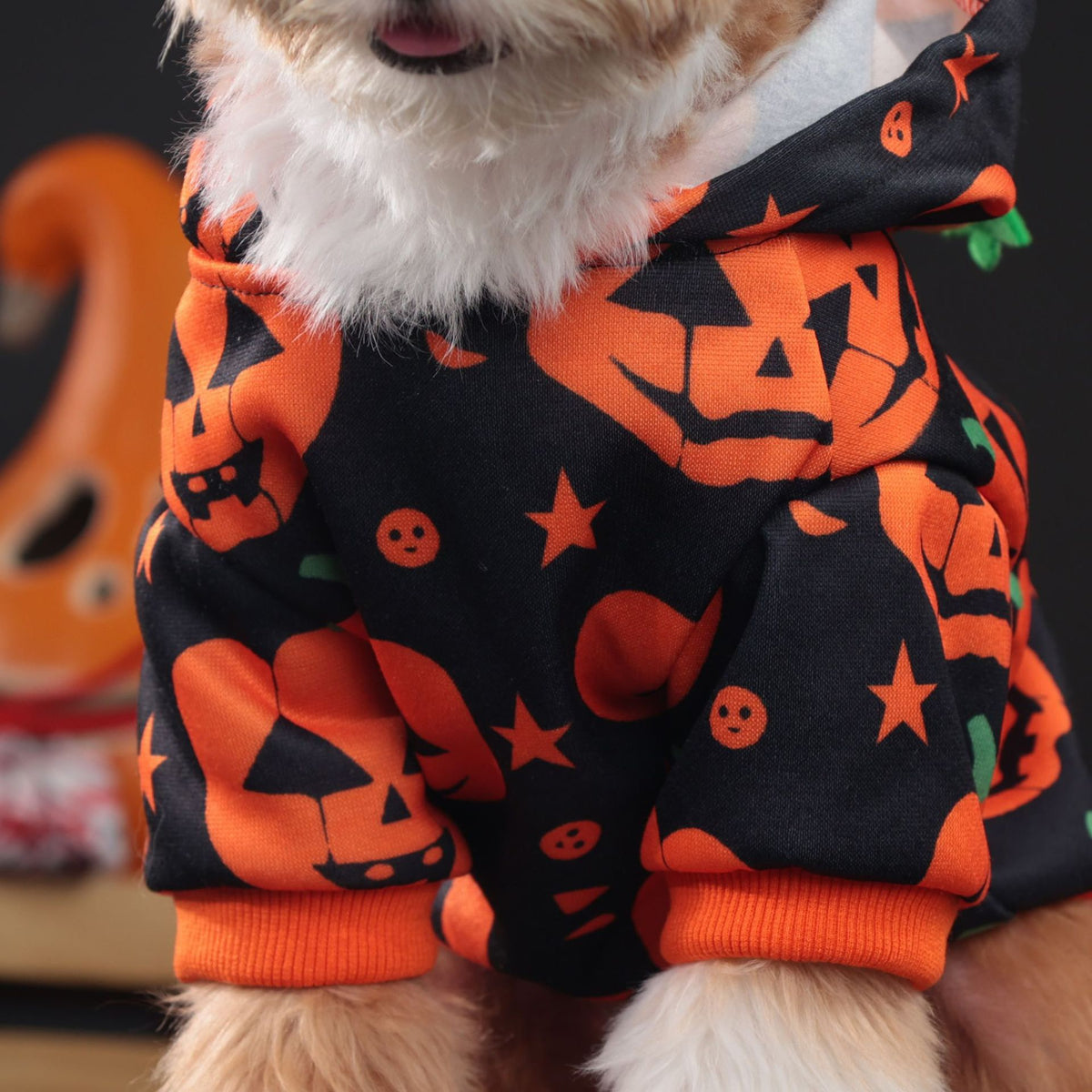 Abrigo calabaza de halloween para mascotas