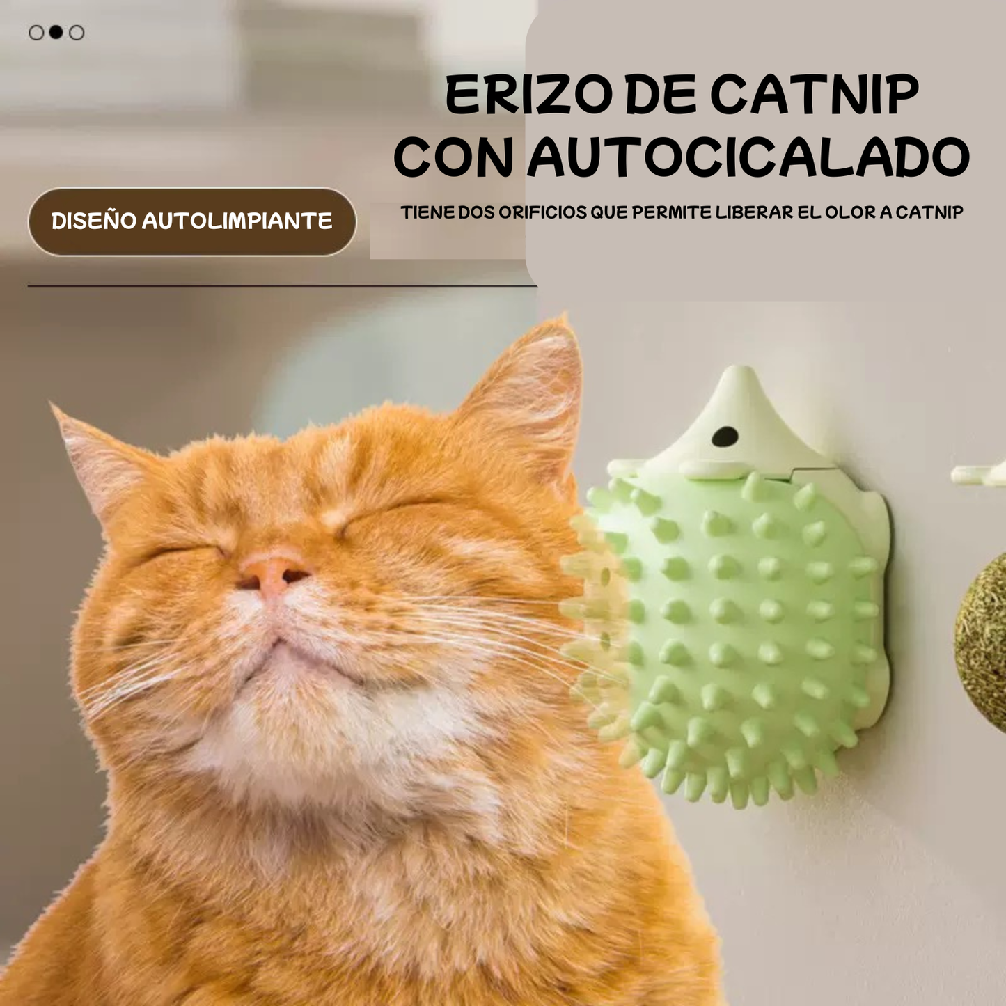 Erizo de Catnip con adhesivo para gatos