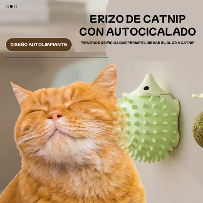 Erizo de Catnip con adhesivo para gatos