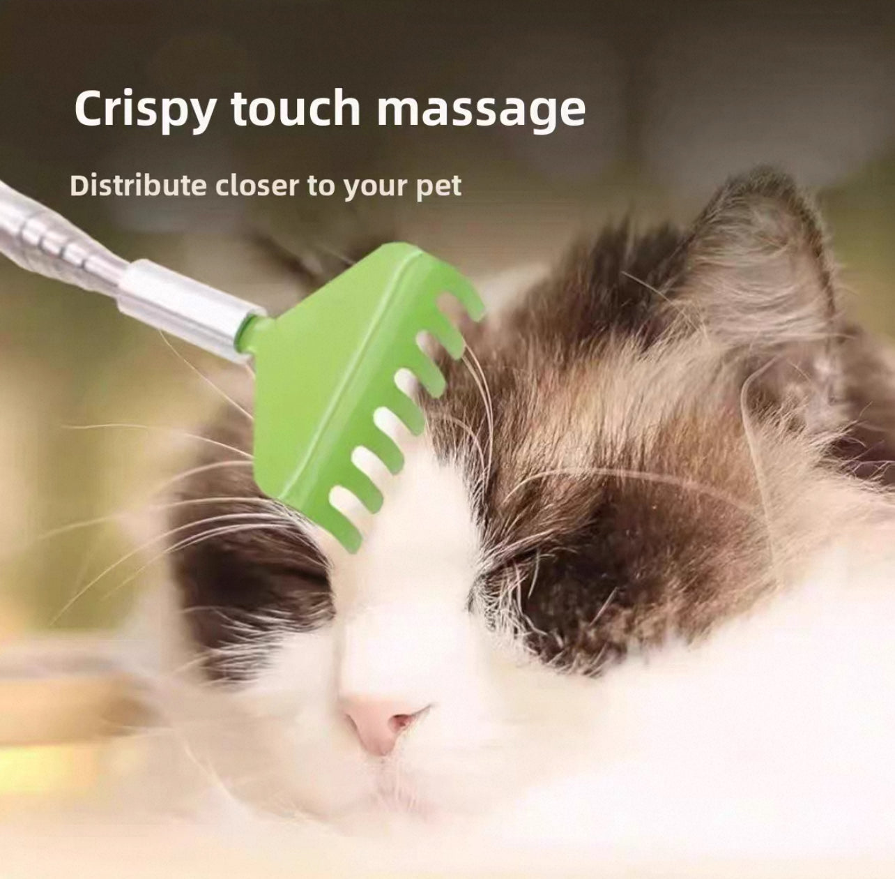 Masajeador para gatos