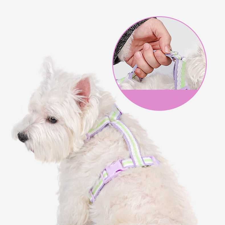 Pechera con correa para perros medianos modelo 427