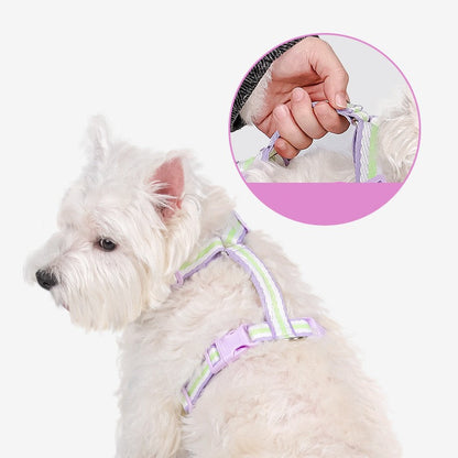 Pechera con correa para perros medianos modelo 427