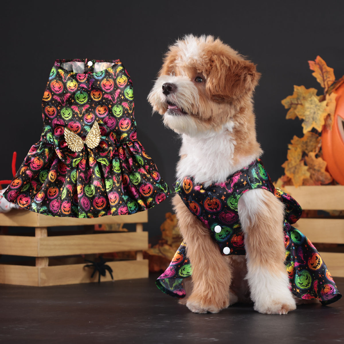 Vestido de halloween para mascotas #5 y #6