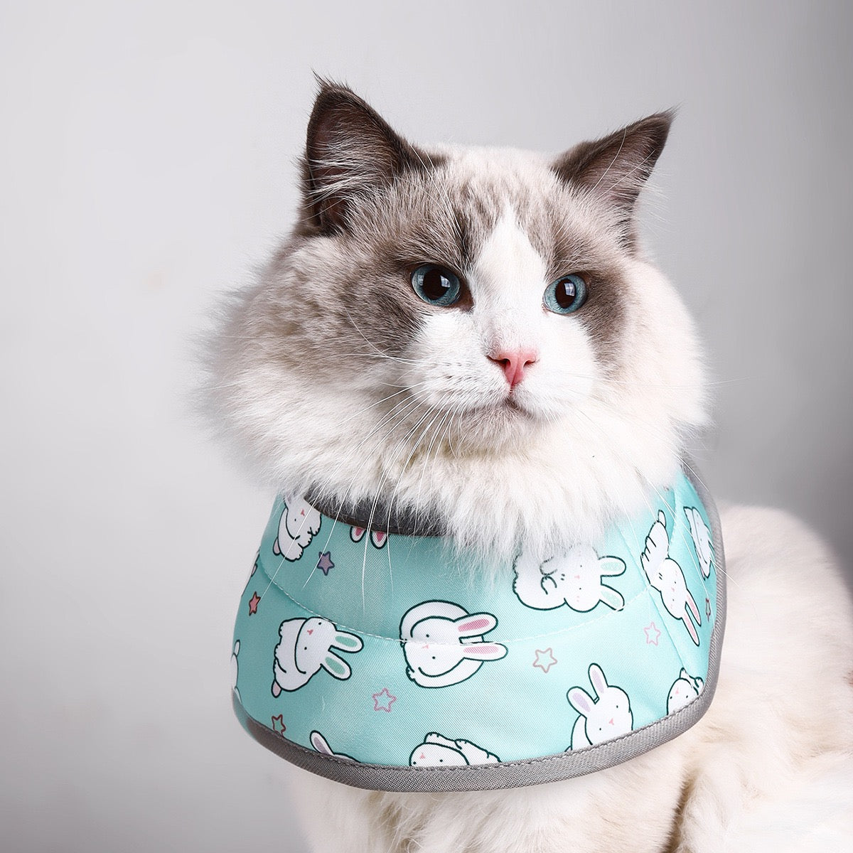 Cono isabelino para mascotas de tela Modelo #CL21