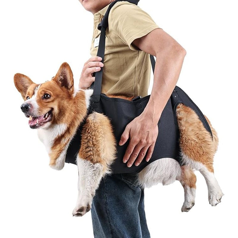 Soporte para perros ancianos o problemas articulares (Modelo 006)