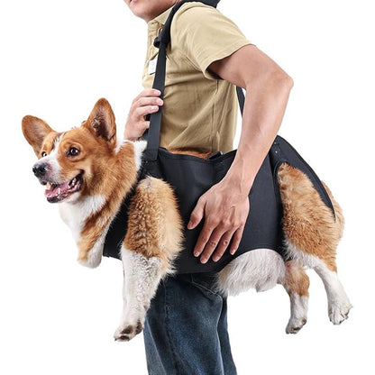 Soporte para perros ancianos o problemas articulares (Modelo 006)