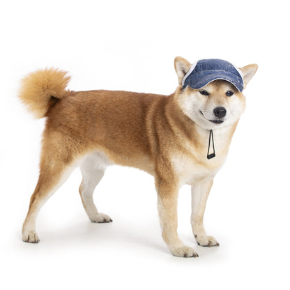 Gorras elegantes para mascotas
