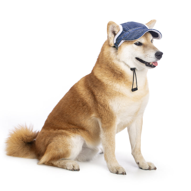 Gorras elegantes para mascotas