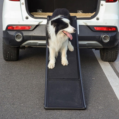 Rampa plegable de auto para perros