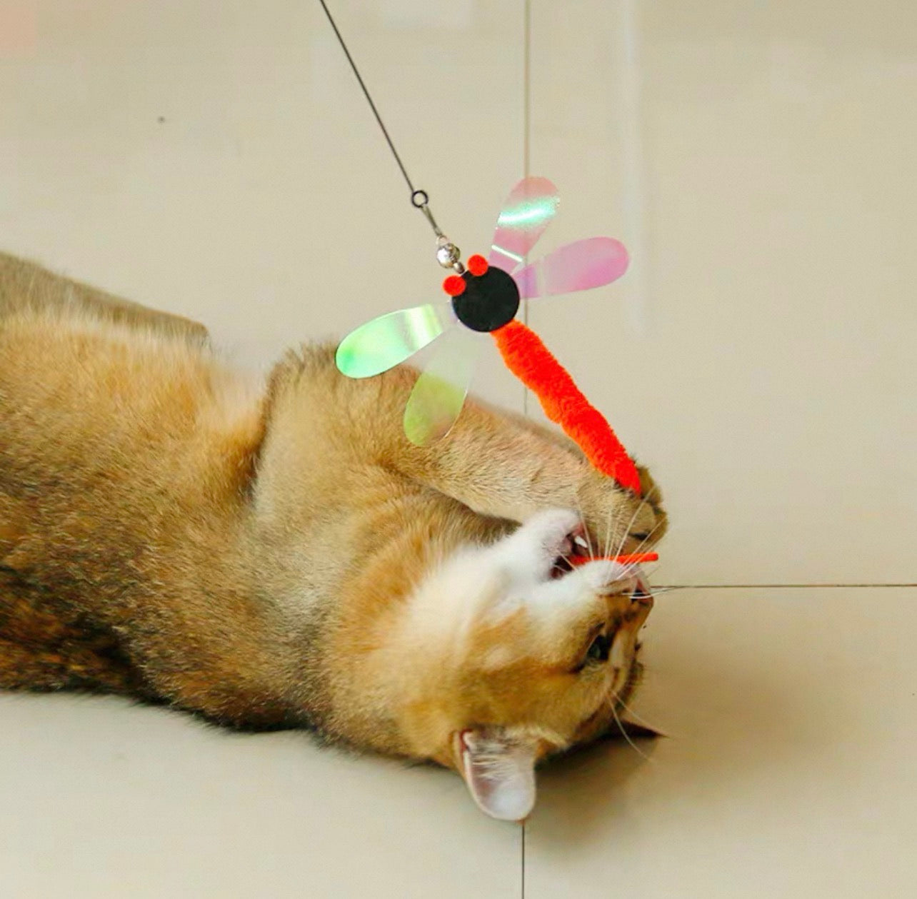 Cañita para gatos modelo libélula