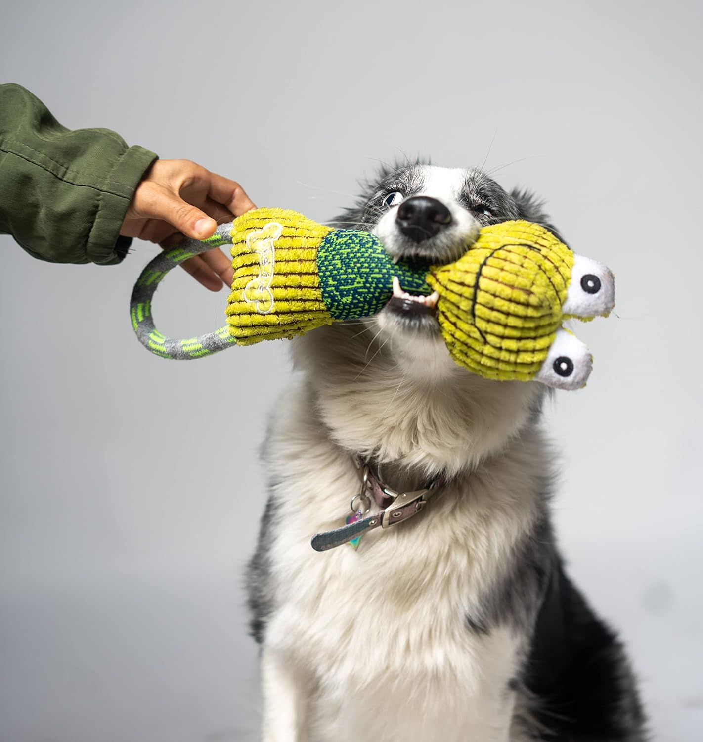 Juguete de perro de cuerda con relleno de felpa resistente a mordeduras