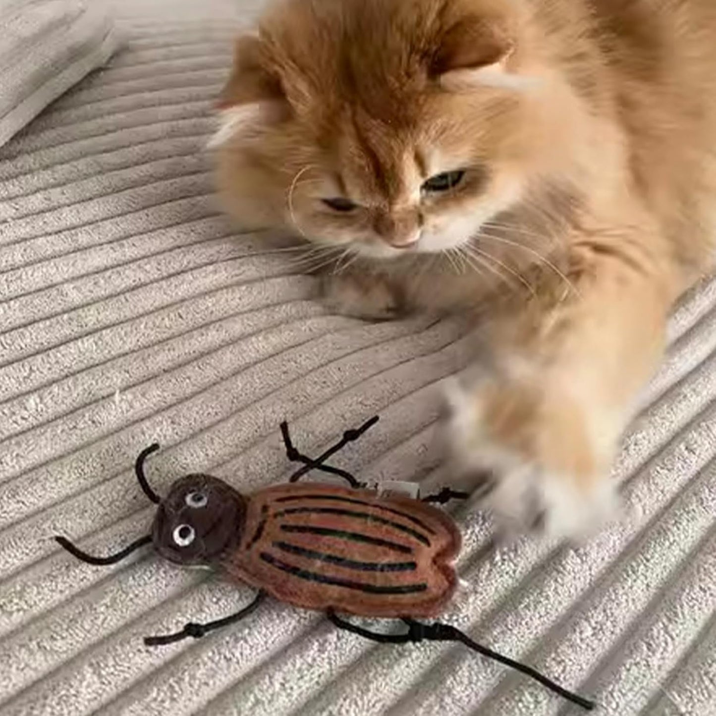 Juguete de cucaracha con catnip para gatos