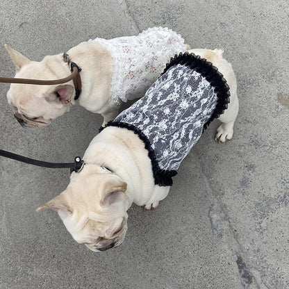 Vestido de encaje negro para mascotas