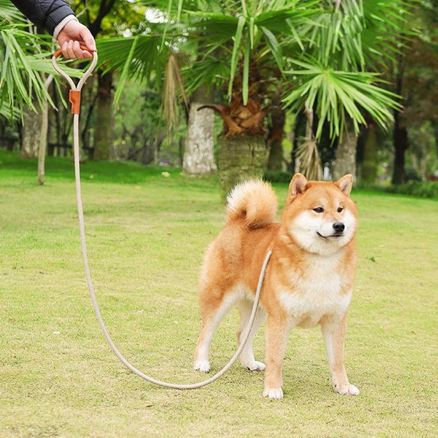 Correa de nailon para perros 150cm