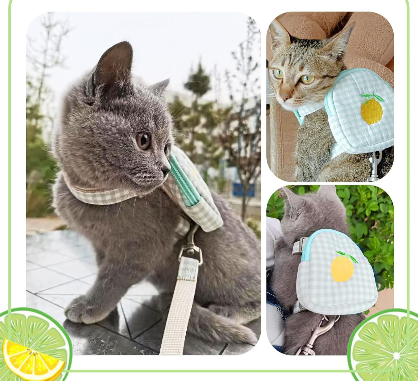 Pechera con bolsita para gatos y perros