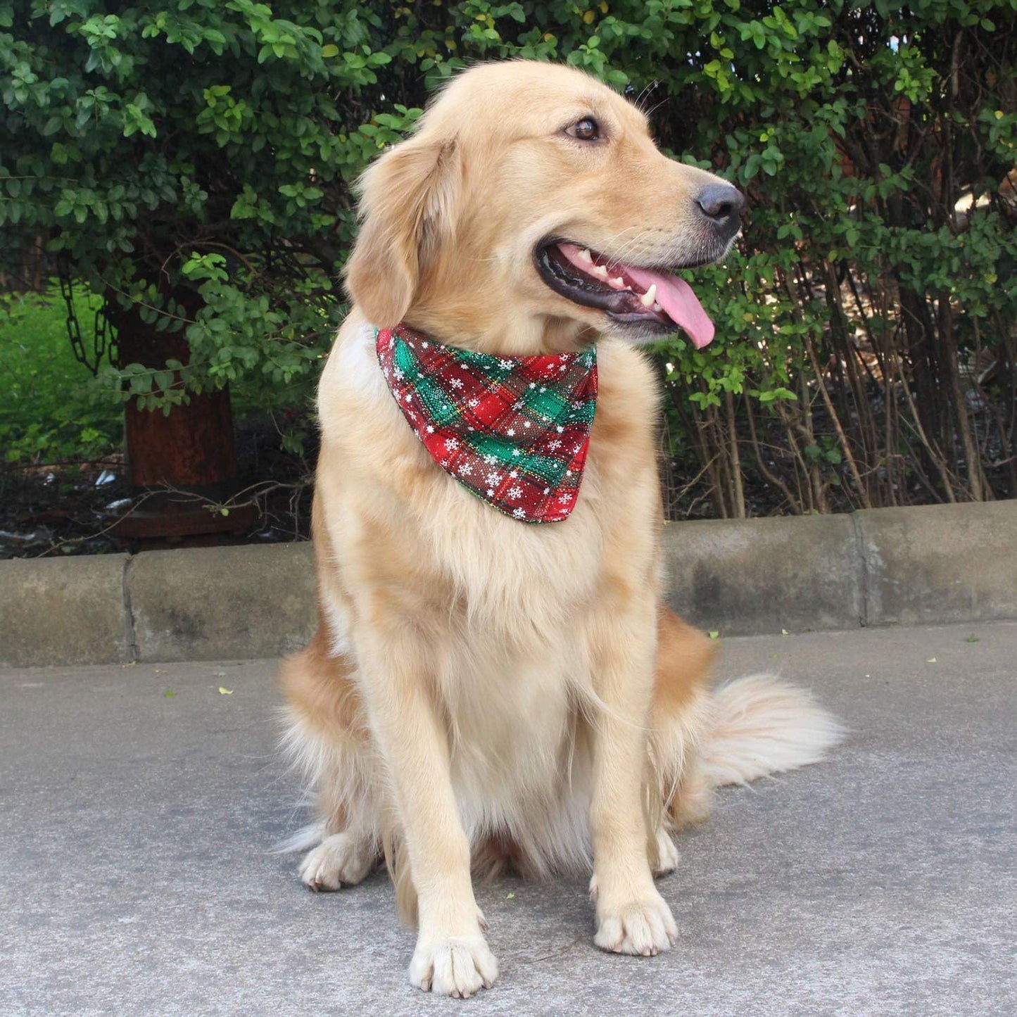 Bandanas navideñas para mascotas (Modelos #2)