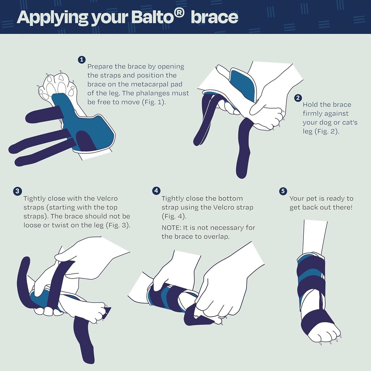 Férula para gatos: férula para la laxitud carpiana y tarsal en felinos