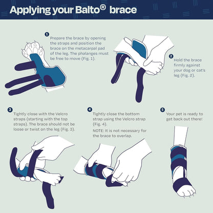 Férula para gatos: férula para la laxitud carpiana y tarsal en felinos