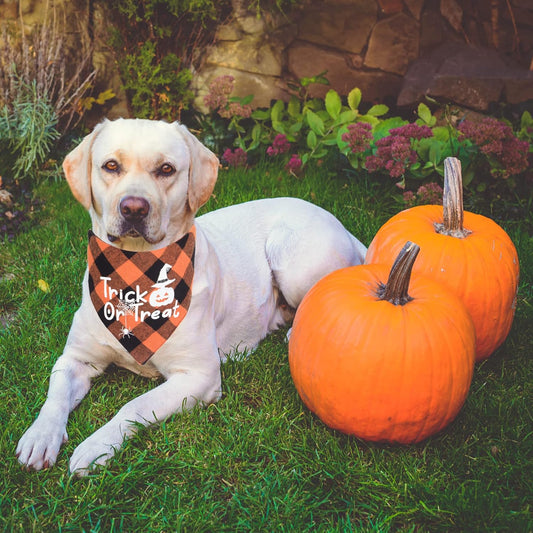 Bandanas para Halloween