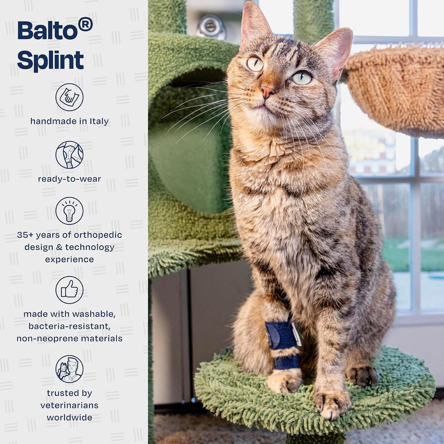 Férula para gatos: férula para la laxitud carpiana y tarsal en felinos