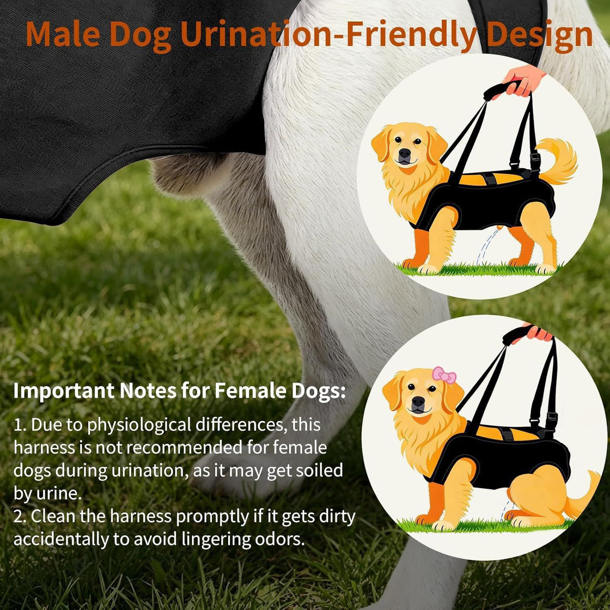 Soporte para perros ancianos o problemas articulares (Modelo 006)
