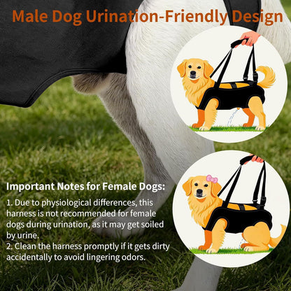 Soporte para perros ancianos o problemas articulares (Modelo 006)