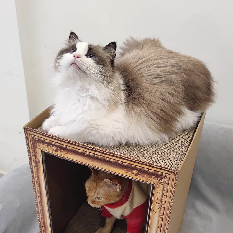 Rascador de cartón para gatos estilo monalisa cuadrado