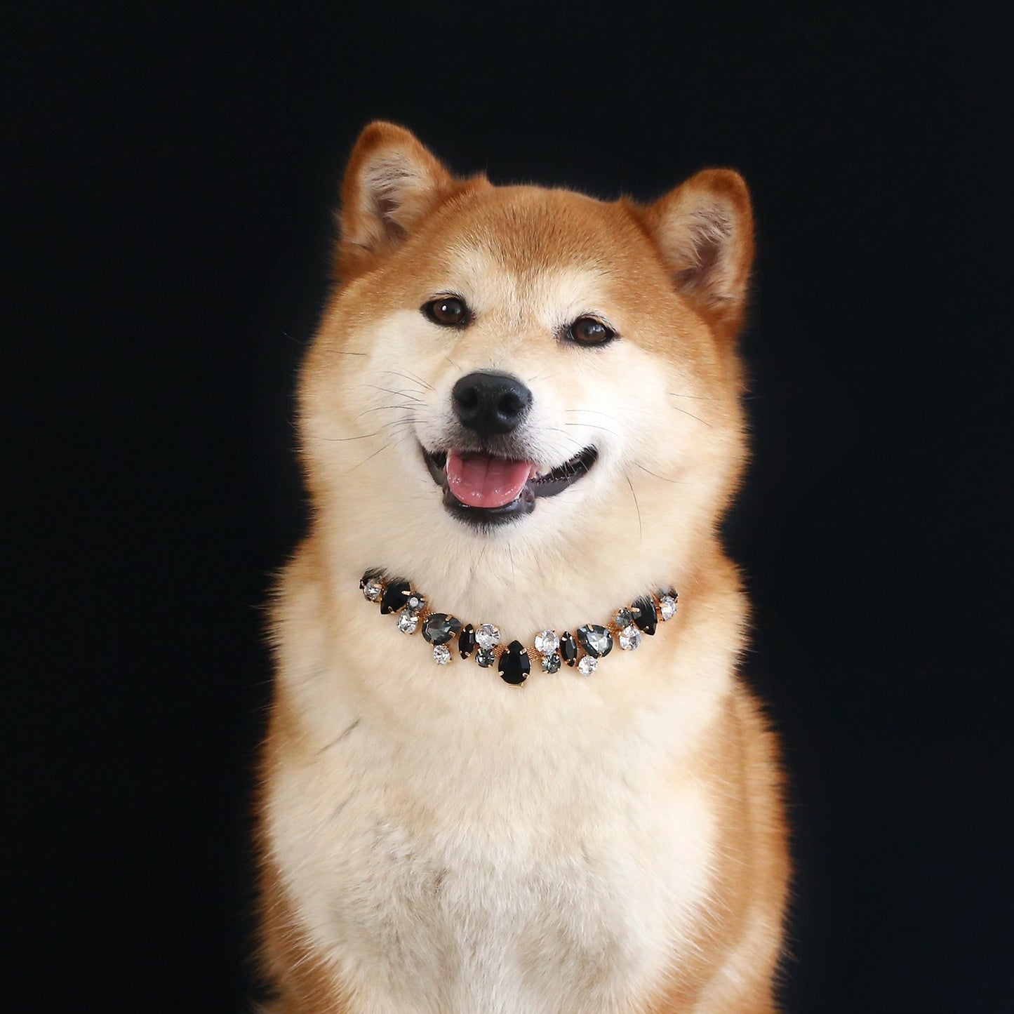 Collar brillante de piedra de colores para mascotas
