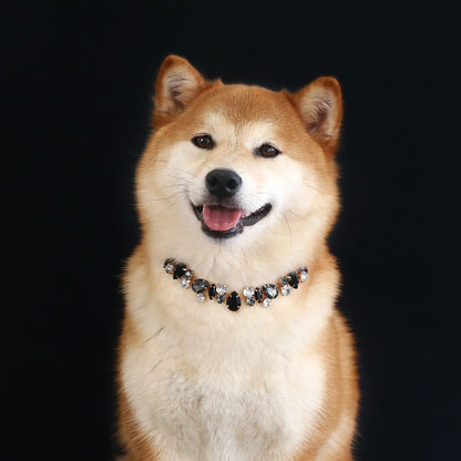 Collar brillante de piedra de colores para mascotas