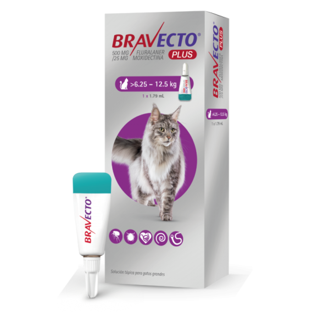 Bravecto pipeta para gato 6.25-12.5kg.