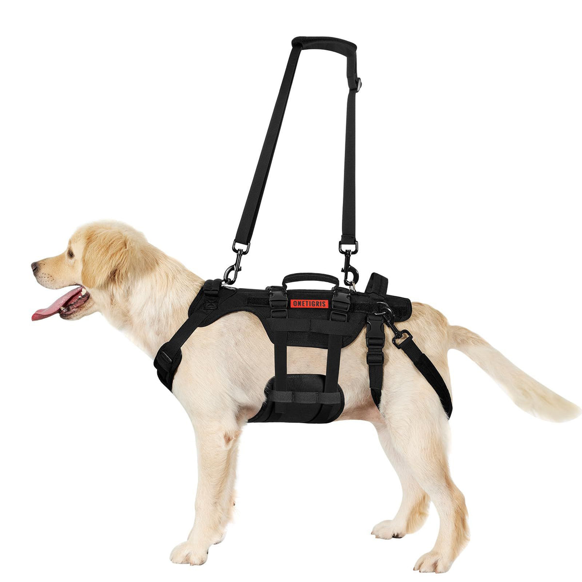 Soporte para perros en recuperación (Modelo 001)