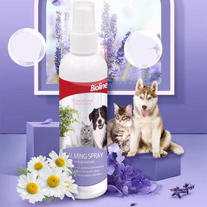 Spray calmante Bioline de lavanda para perros y gatos 120ml
