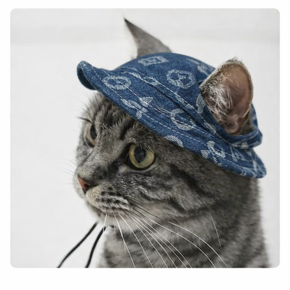 Gorro para mascotas elegante azul