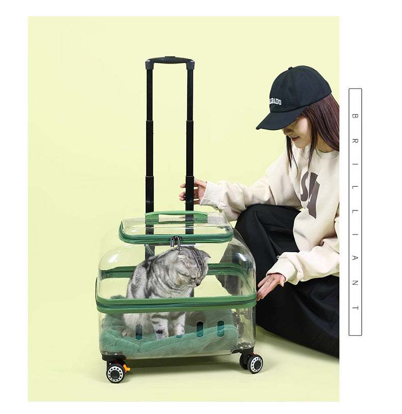 Maleta de ruedas transparente MR10
