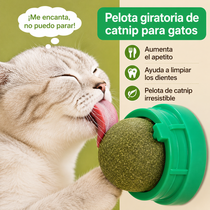 Catnip individual para pared 1un (colores variados )